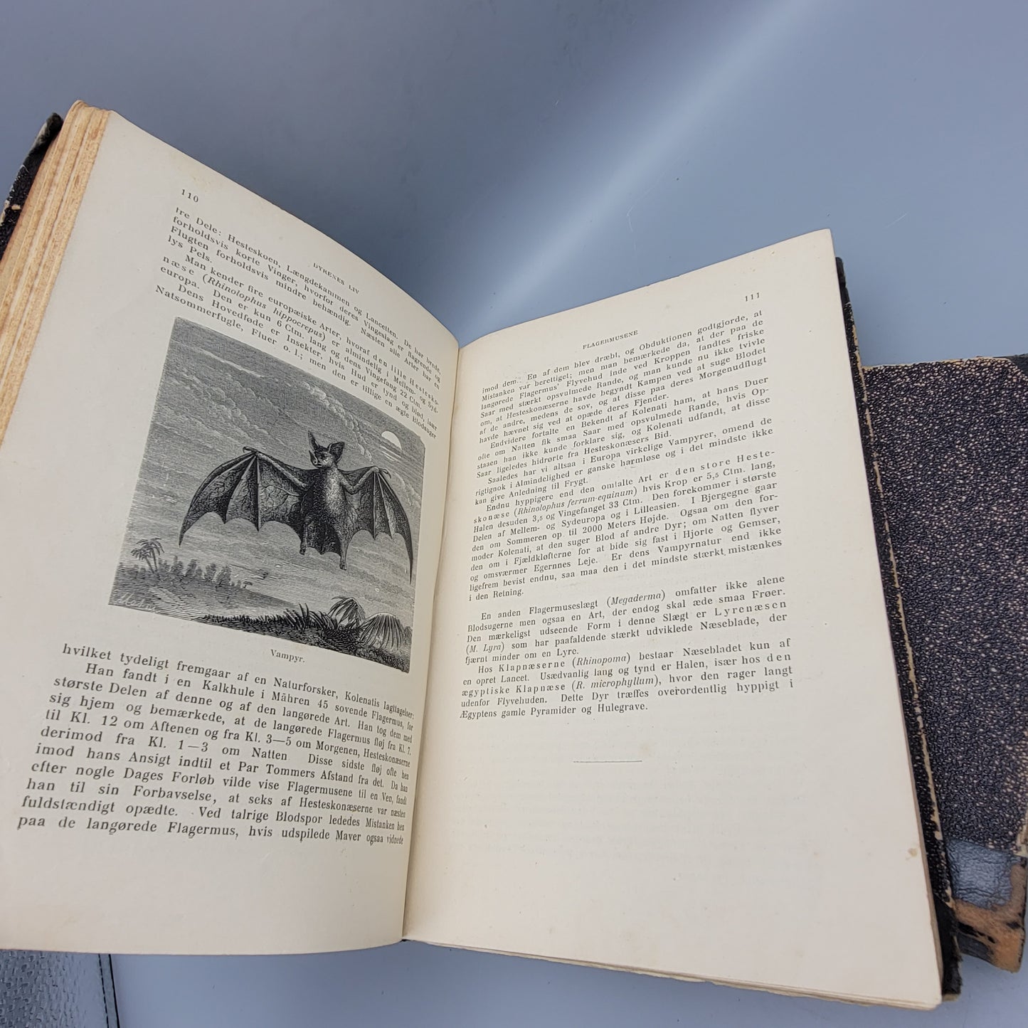 Book: A Brehm "Dryenes Liv"