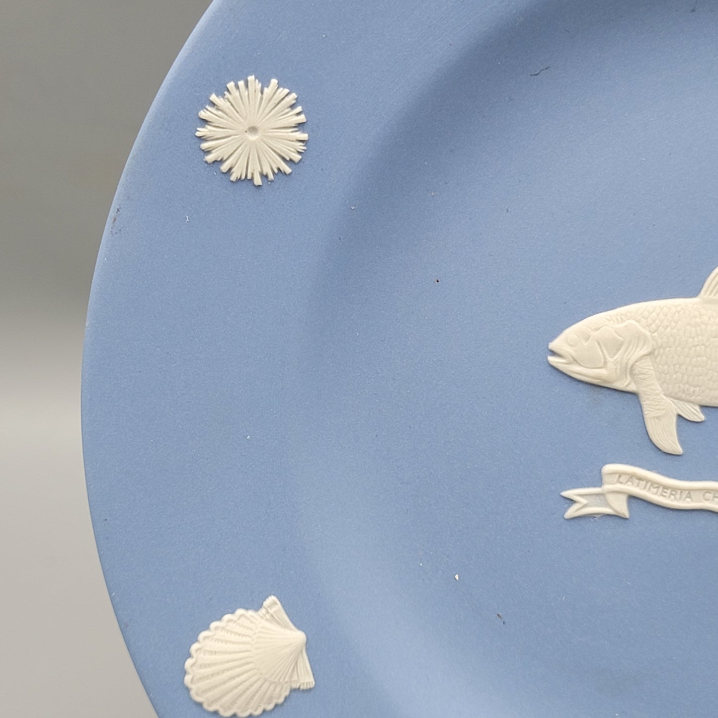 Wedgwood Light Blue Jasperware Coelacanth Plate