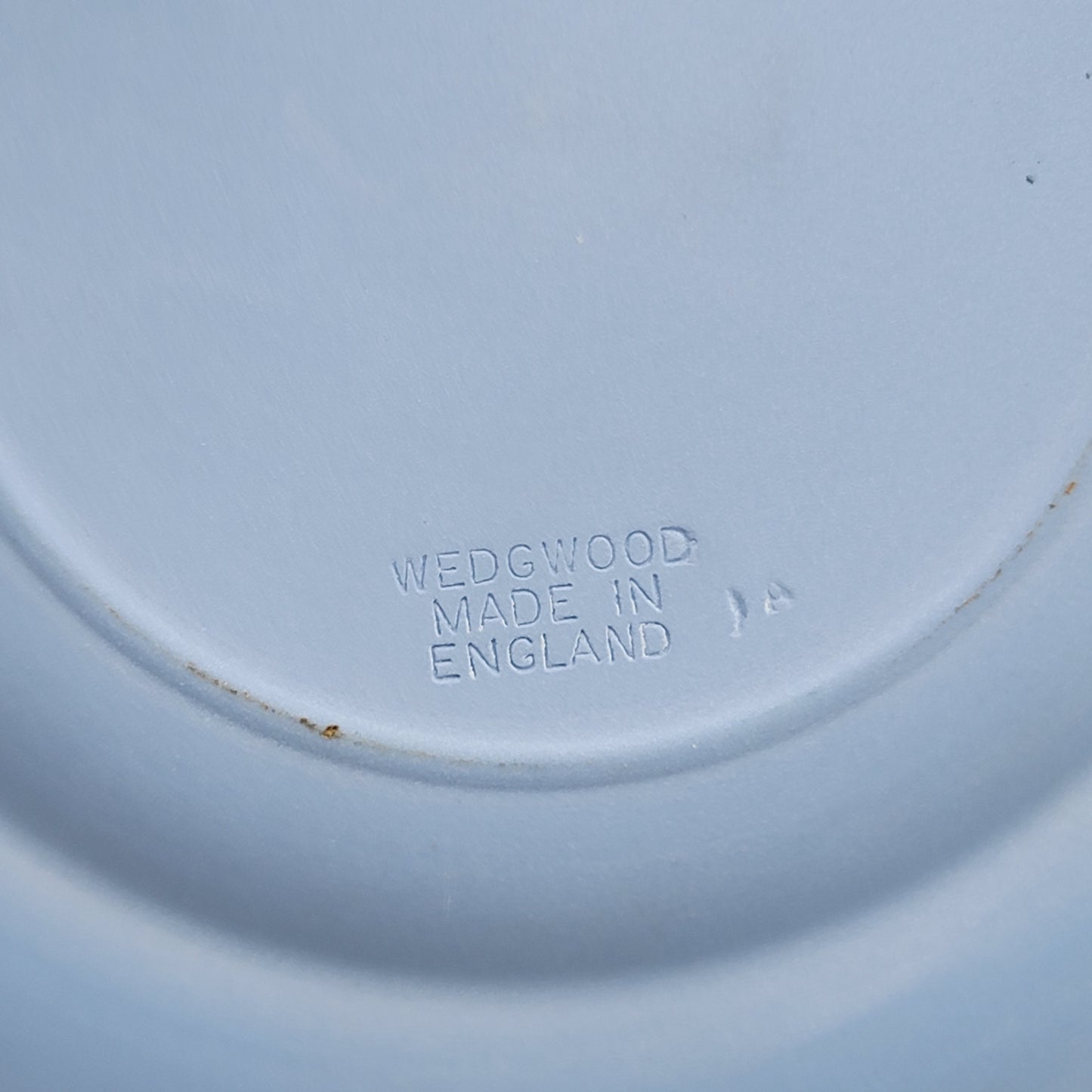 Wedgwood Light Blue Jasperware Coelacanth Plate