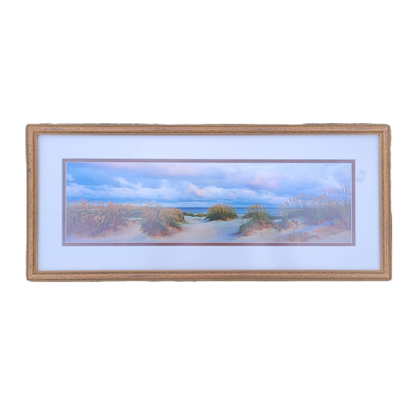Sand Dunes and Ocean Color Print
