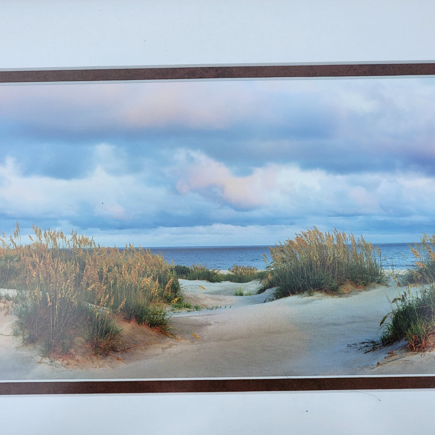 Sand Dunes and Ocean Color Print