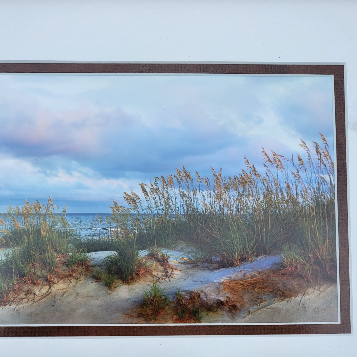 Sand Dunes and Ocean Color Print