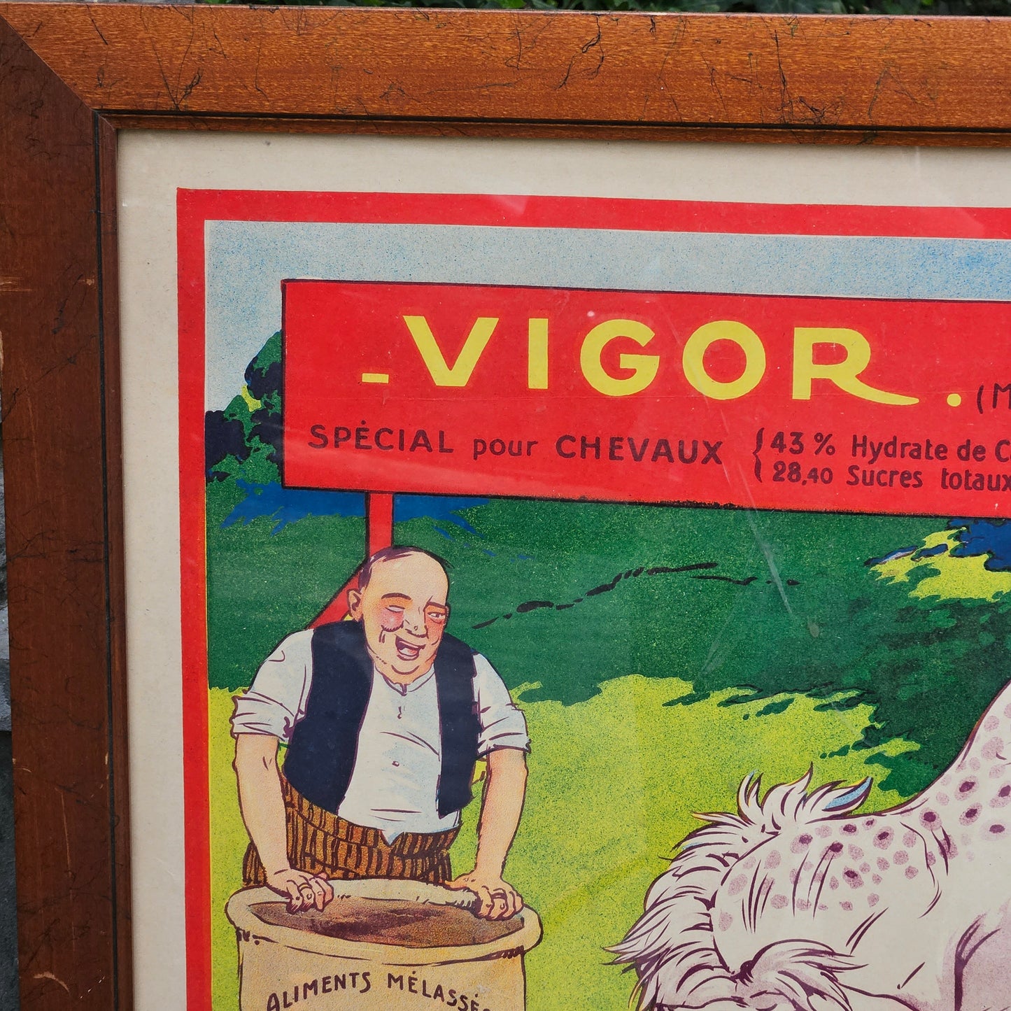Large Vintage French Vigor Poster