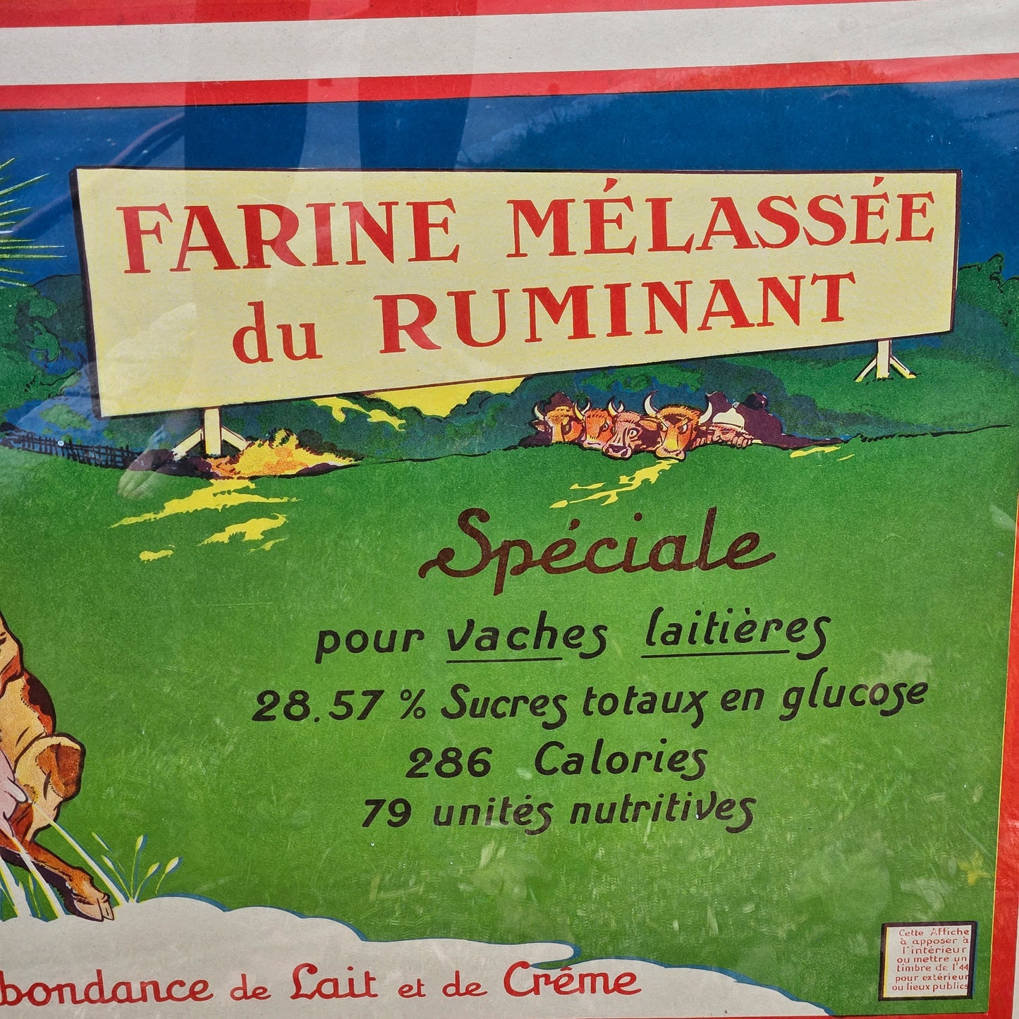 Large Vintage French Vigor Poster