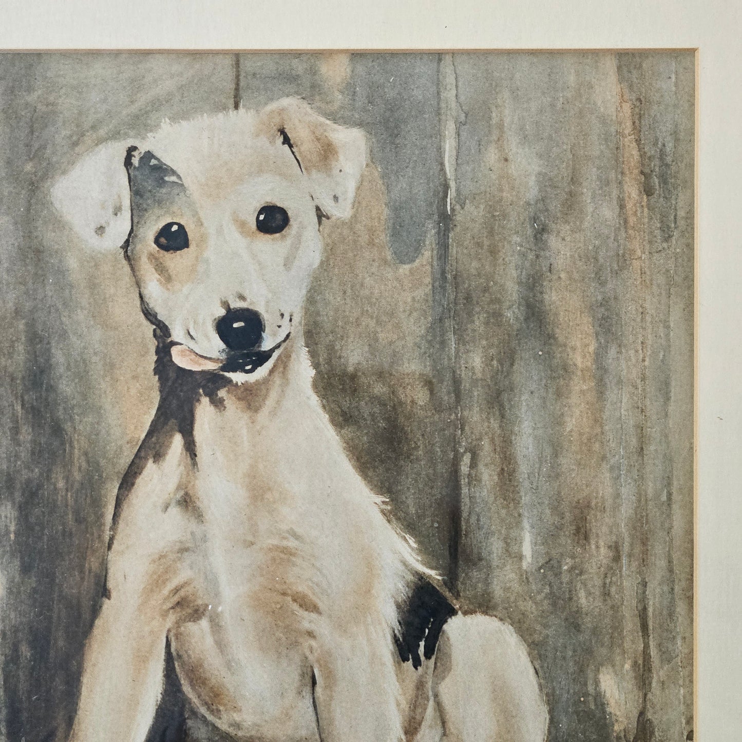 Vintage Cecil Aldin (1870 - 1935) Artwork of Dog