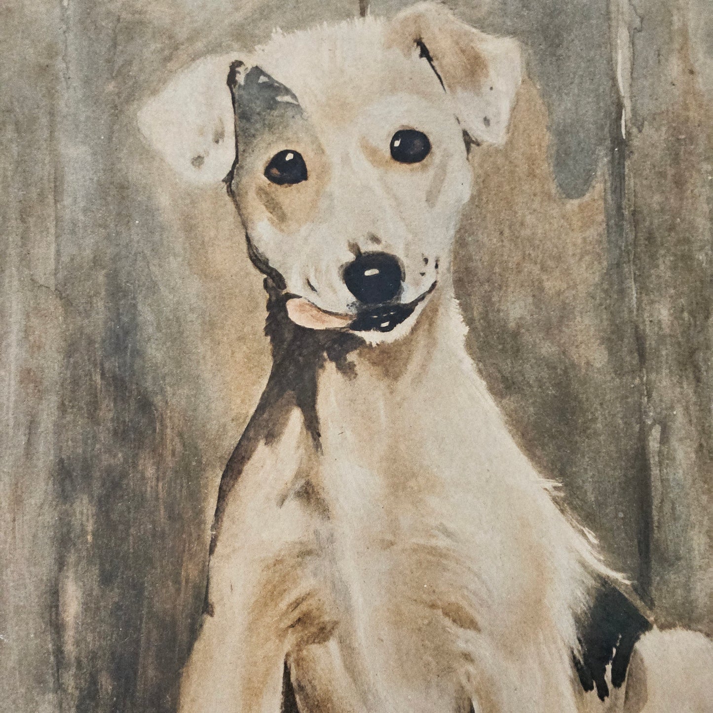 Vintage Cecil Aldin (1870 - 1935) Artwork of Dog