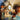 Antiques - ShopSBH