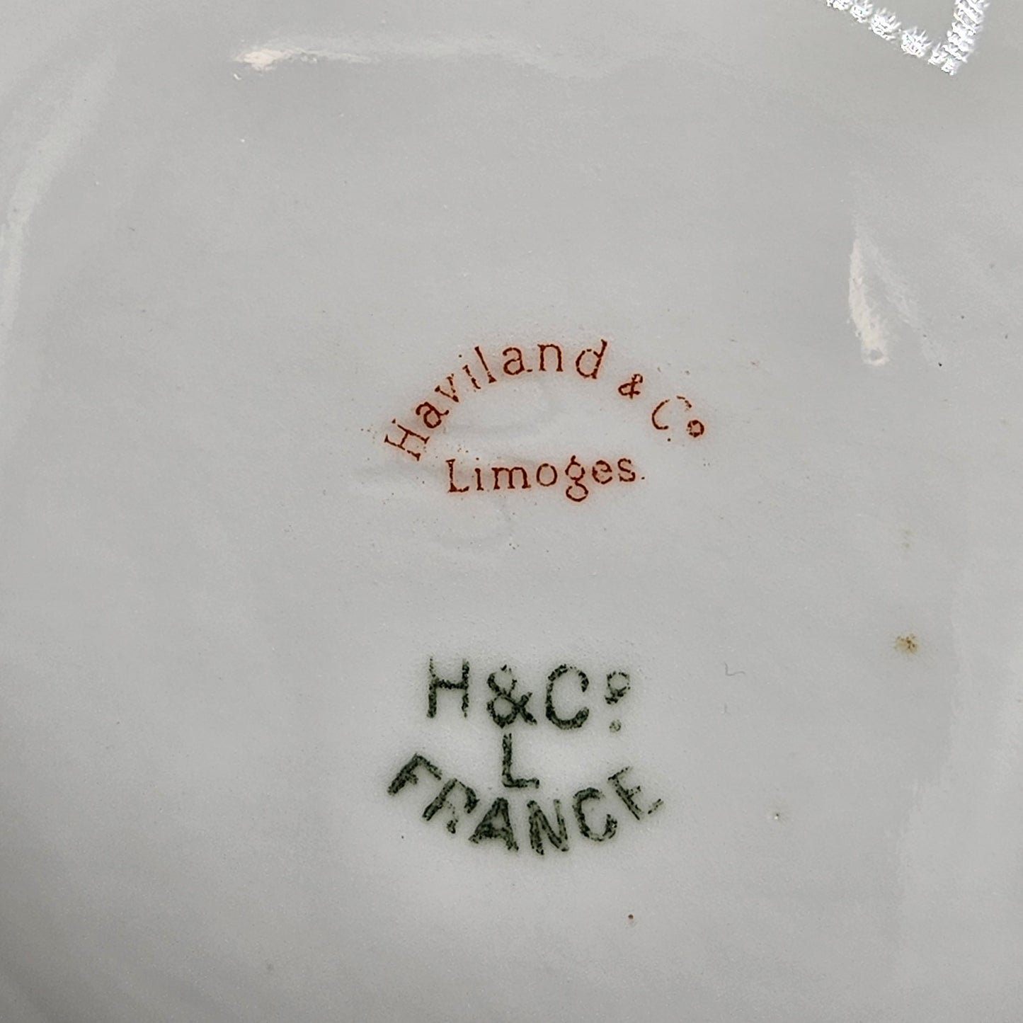 Haviland & Co Limoges Porcelain Oyster Plate with Dogwood Blossoms