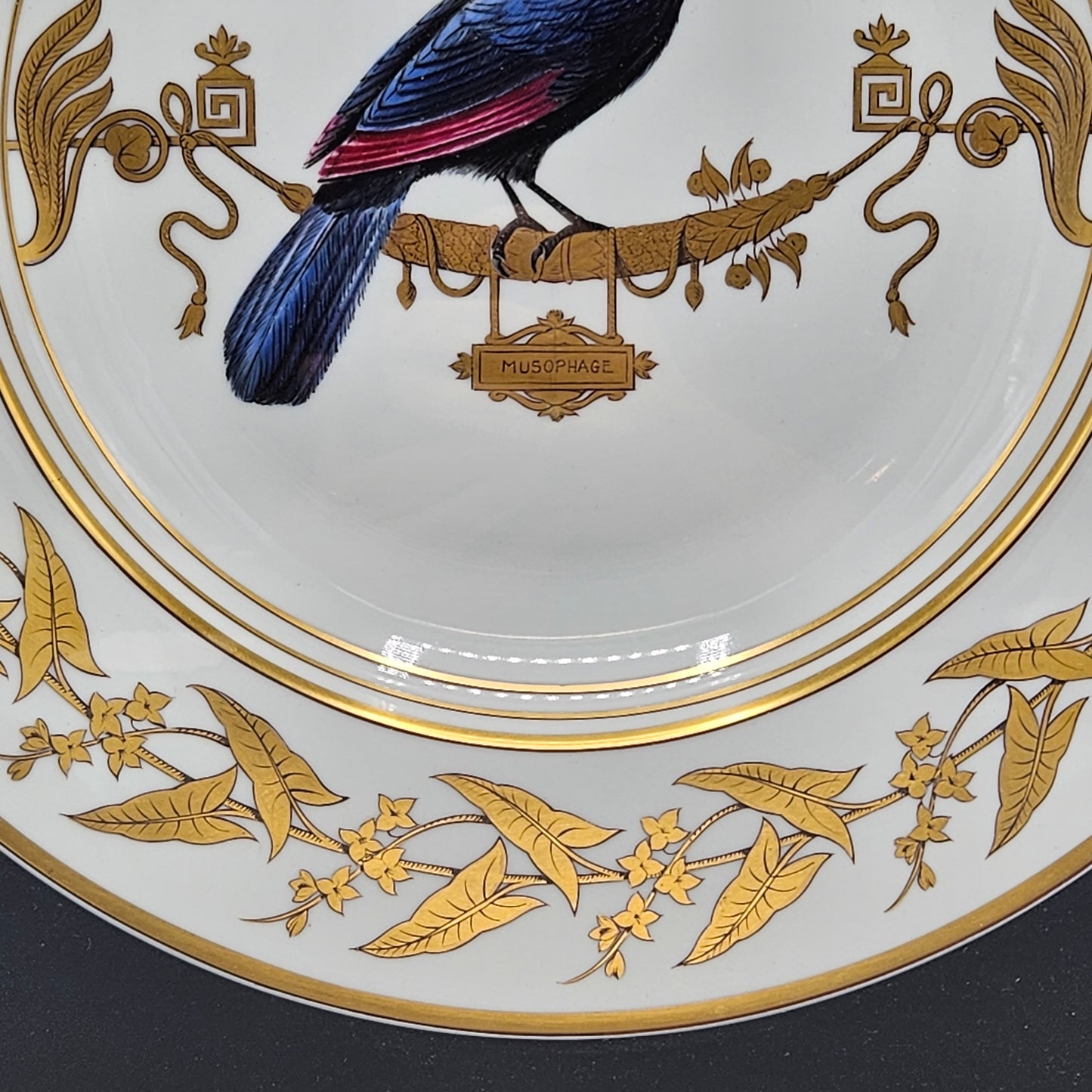 Stunning Rouard French Porcelain Handpainted Bird Plate in Frame