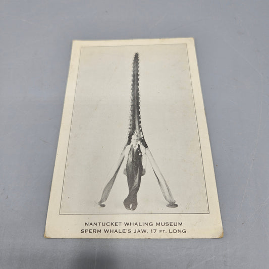 Vintage Nantucket Whaling Museum Postcard