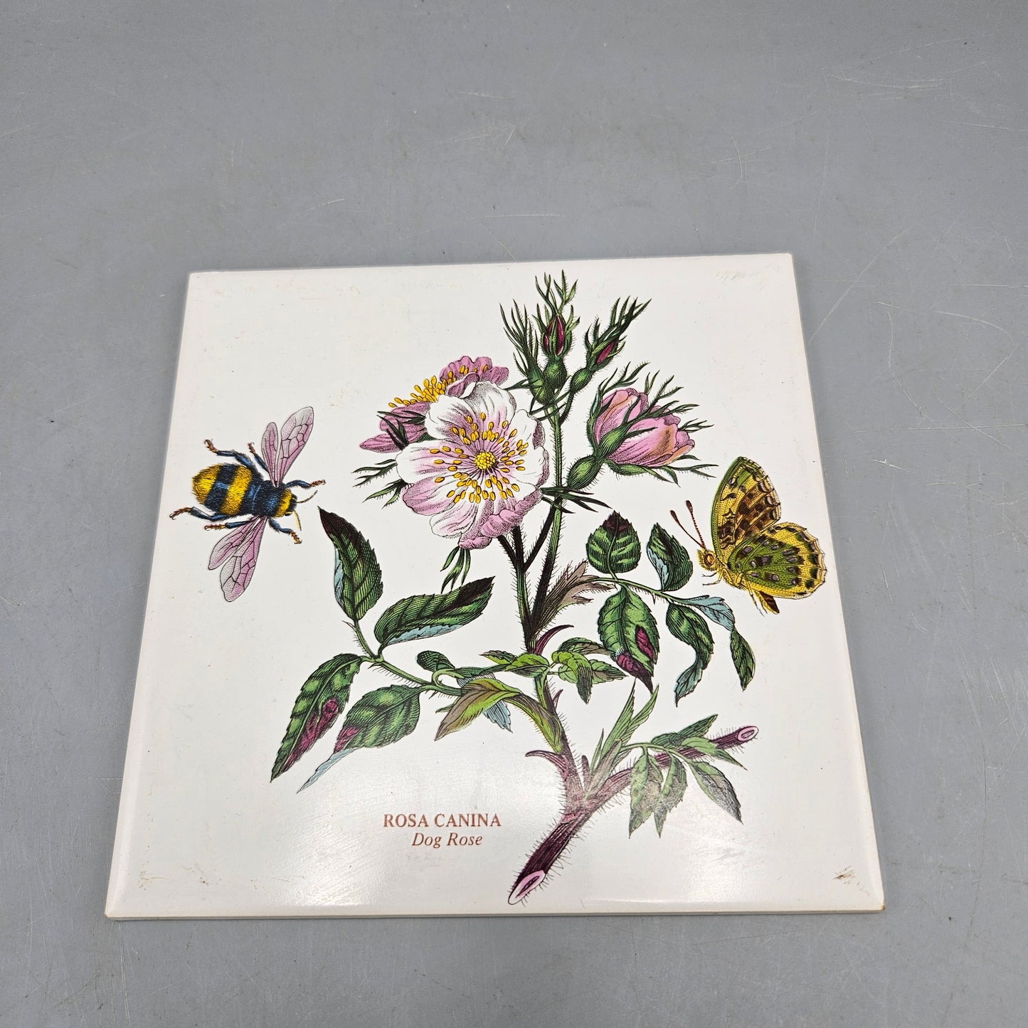 Vintage Portmeirion Botanic Garden Ceramic Trivet Dog Rose Bee Butterfly