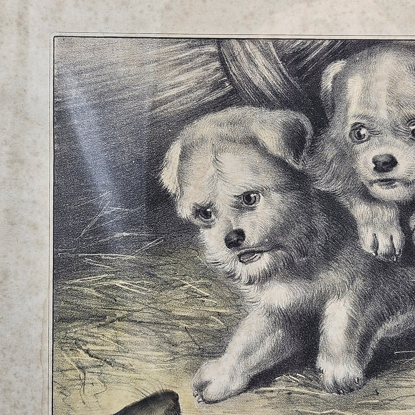 Currier & Ives, Dogs and Mouse, Who’s Afraid of You, Antique Etching