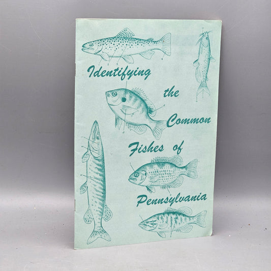Vintage Book "Identifying The Common Fishes Of Pennsylvania" By Buss And Miller