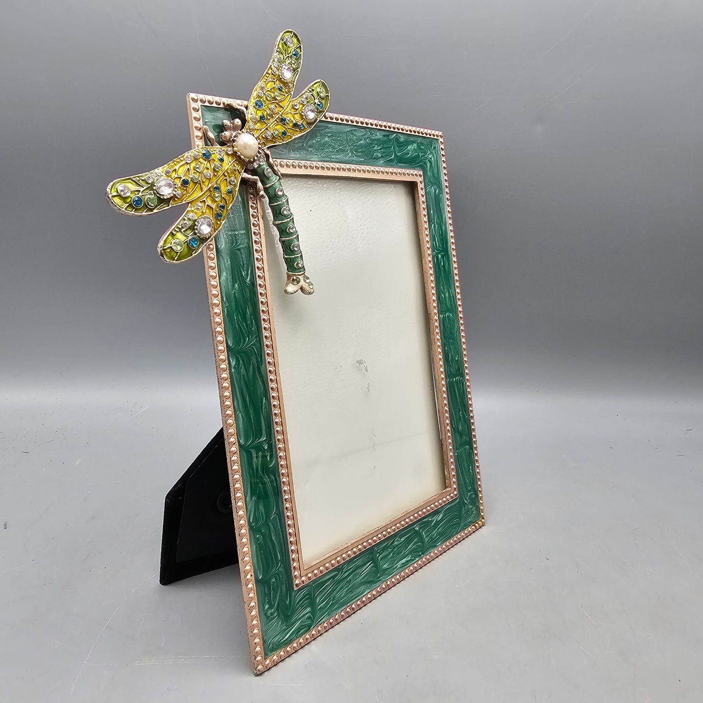 Crystal Dragonfly Enamel Jeweled Picture Frame