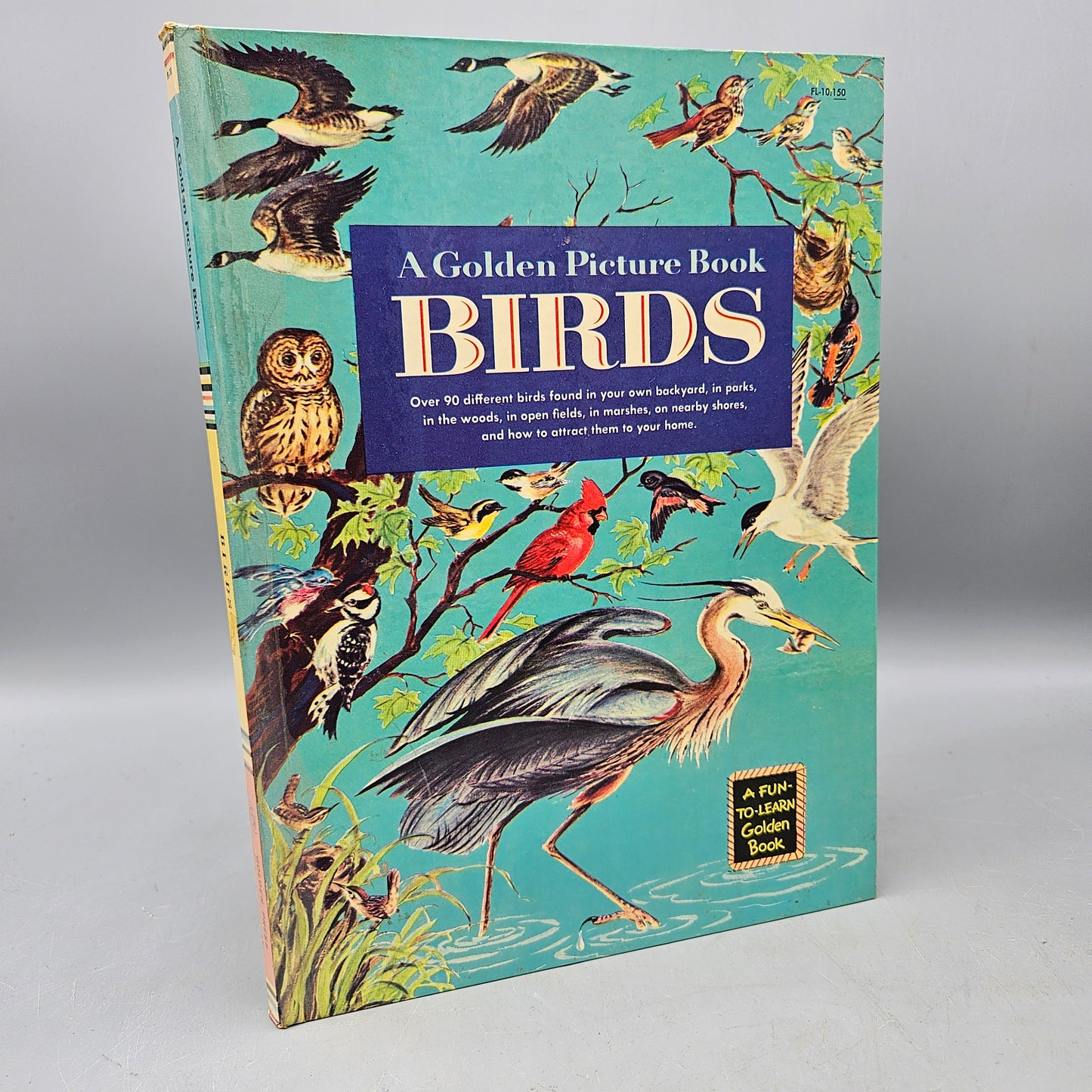 Book: A Golden Picture Book: Birds by Clara Hussong and Marjorie Hartwell (1959)