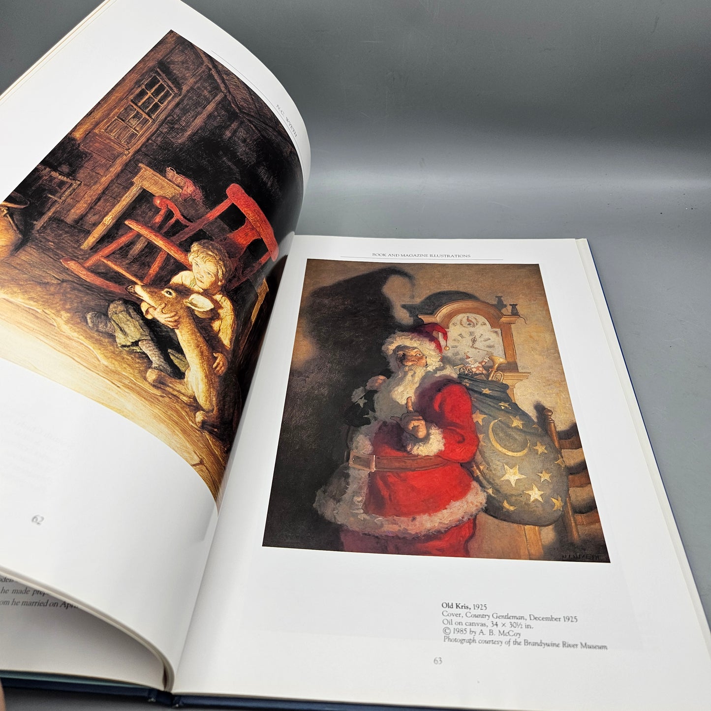 Book: N. C. Wyeth: American Art Series Hardcover – 1992