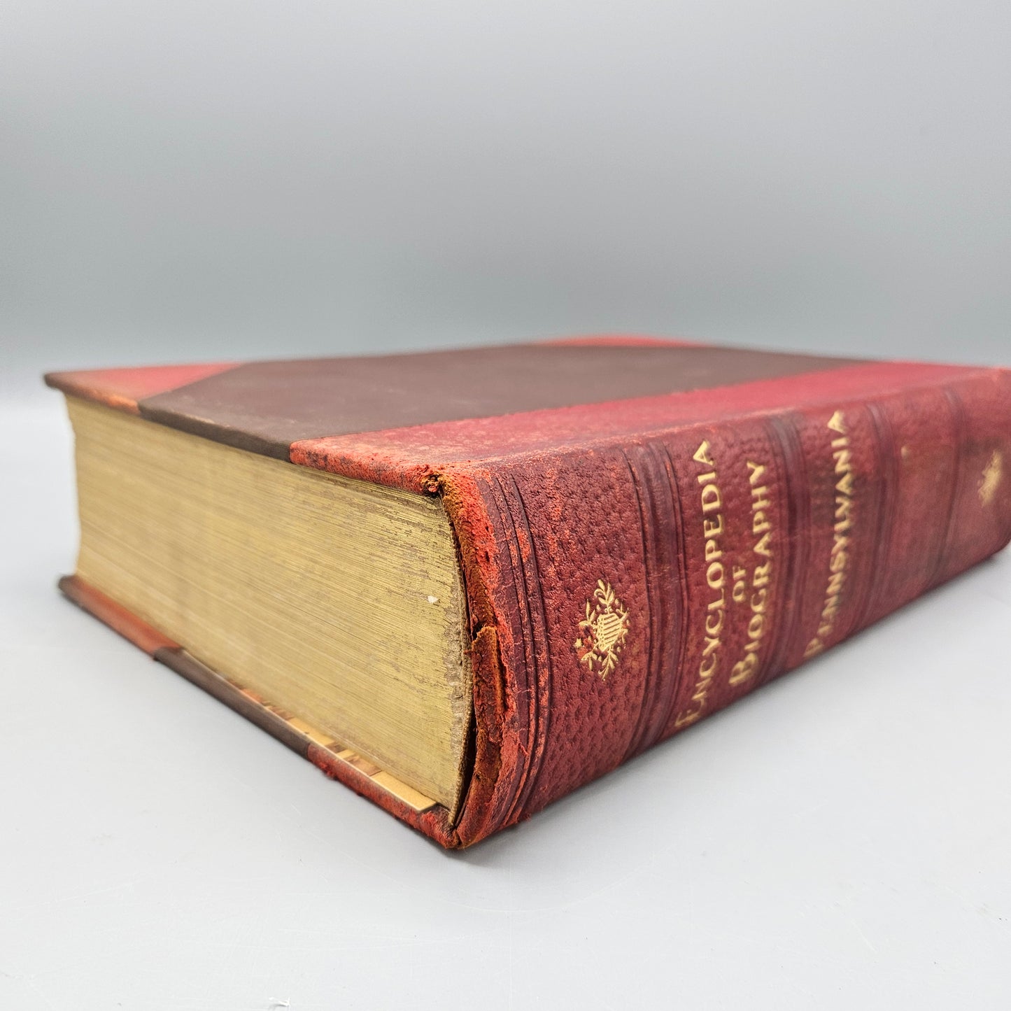 Book: Encyclopedia of Biography Pennsylvania XVI 1927