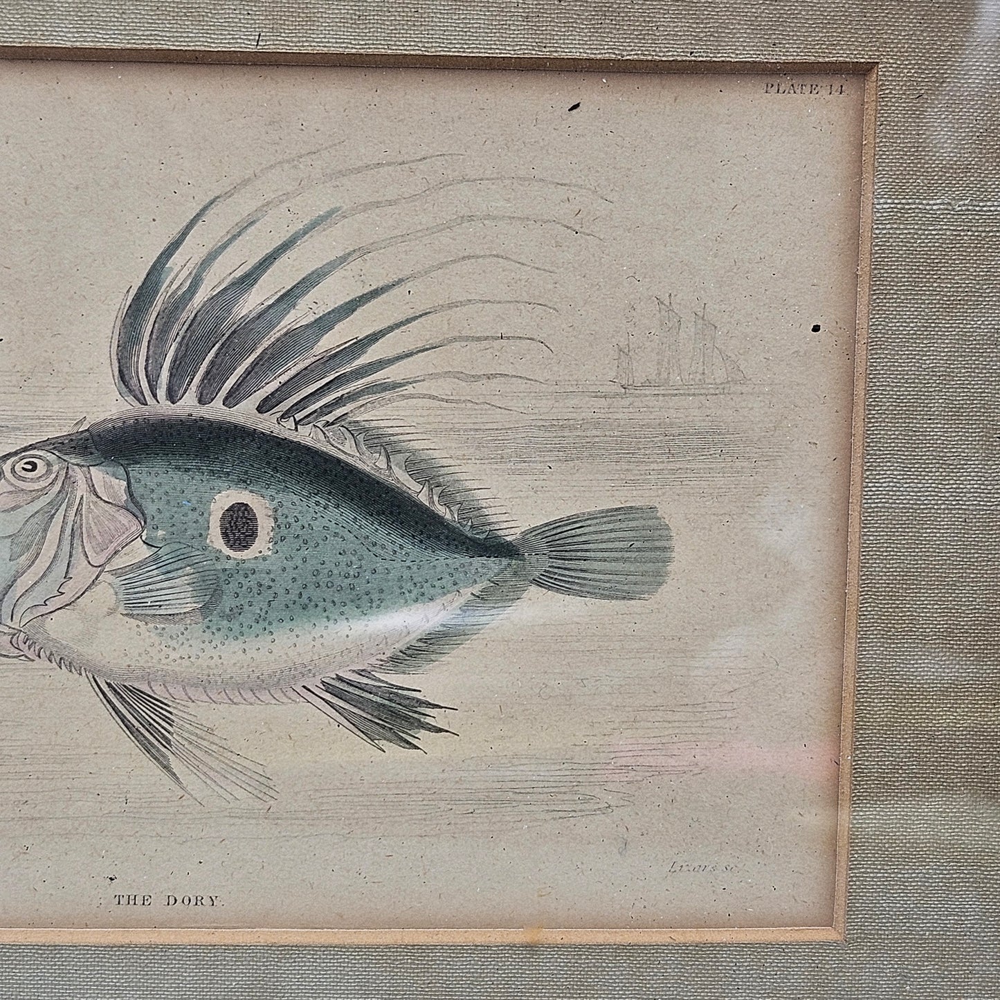 Vintage Framed Fish Etching of The Dory