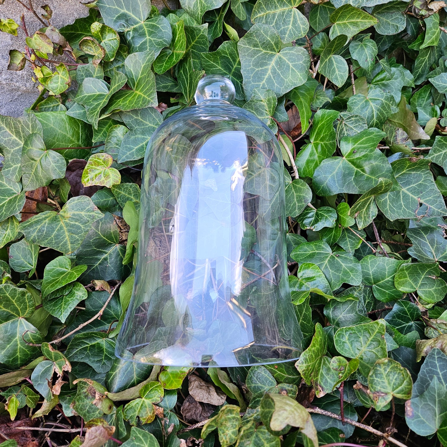 Farmhouse Large Glass Bell Cloche Jar