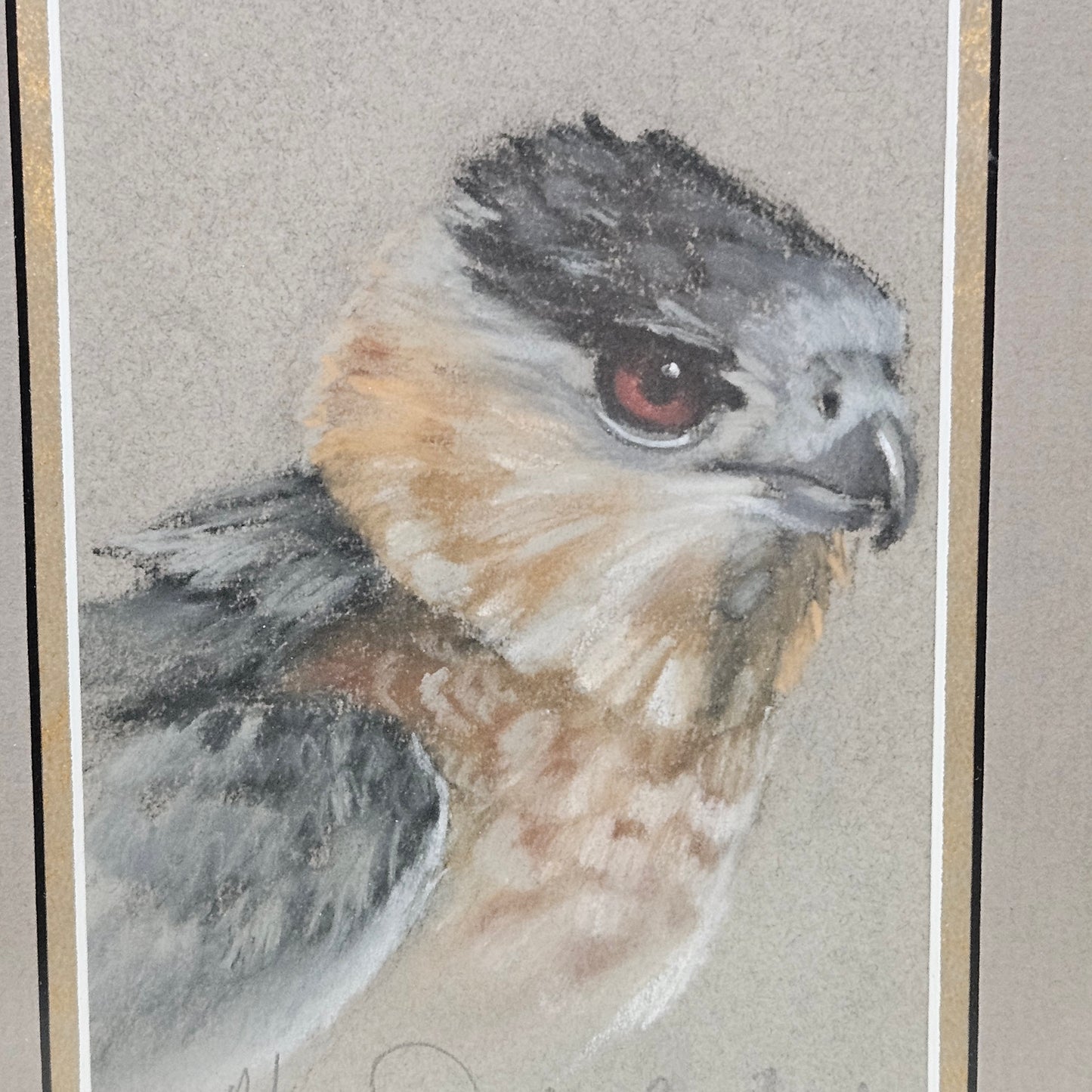 Beautiful Artist Signed Pencil Drawing of Bird