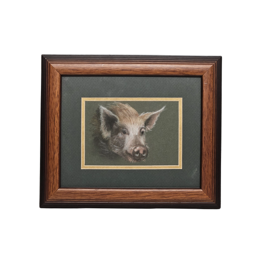 Beautiful Artist Signed Pencil Drawing of Pig