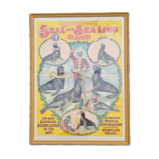 Vintage Herbert's Seal & Sea Lion Band Advertising Poster