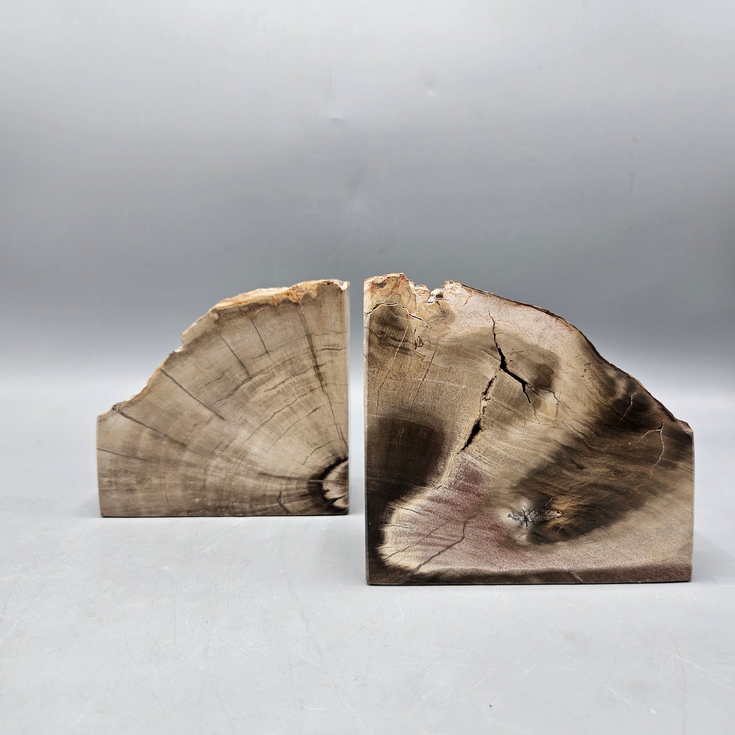 Pair of Petrified Wood Bookends