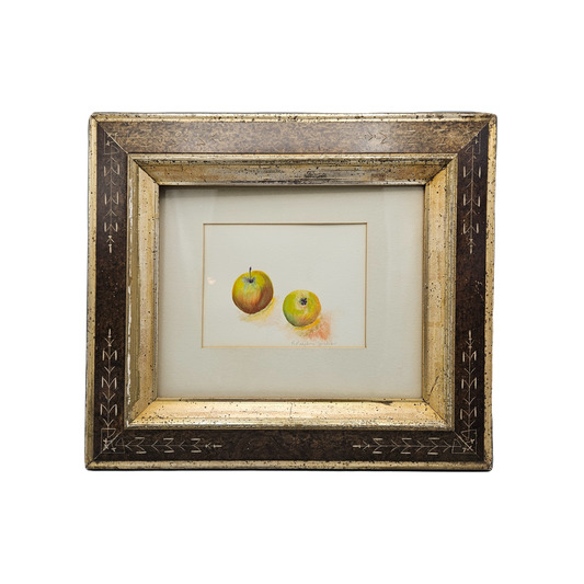 Vintage Signed Still Life Watercolor Painting of Apples - R Pedalino Jacobs