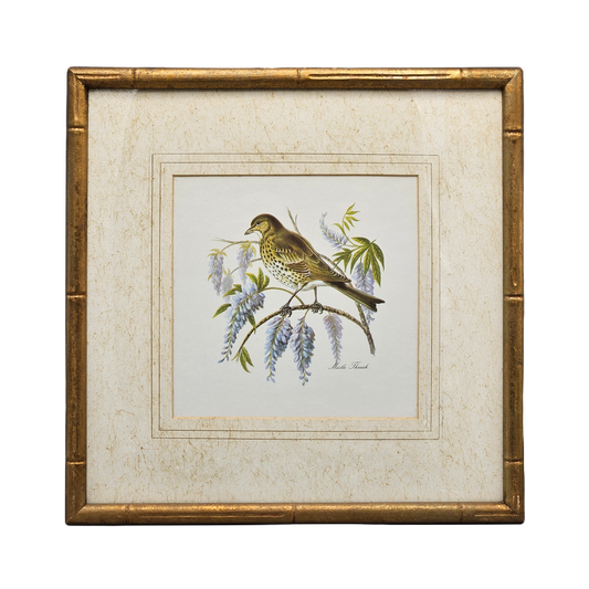 Vintage Mistle Thrush Bird Artwork in Faux Bamboo Gold Frame