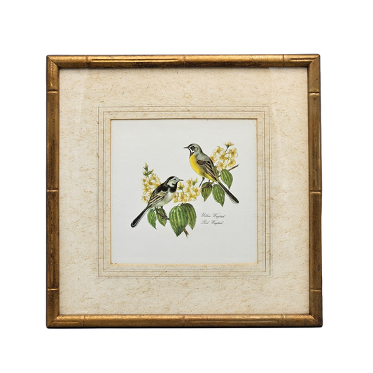 Vintage Yellow Wagtail & Pied Wagtail Bird Artwork in Faux Bamboo Gold Frame