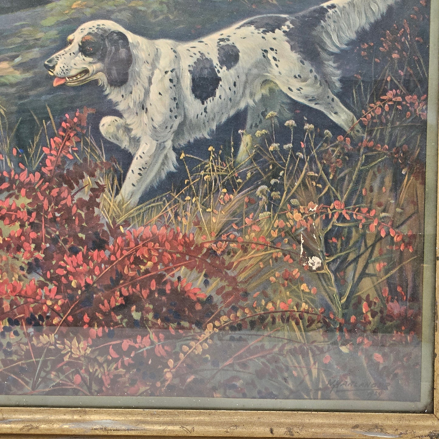 Vintage Hunting Dogs Chromolithograph Under Glass in Gold Frame