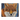 Signed Oil on Canvas Fox Painting