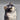 Vintage Royal Doulton Bone China Black and White Cat Figurine HN 999