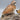 Vintage Hand Painted Quail Figurines on Driftwood