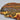 Marra Mamba Tiger-Eye Slab