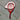 Tennis Racquet with Lafayette College Head Cover - Home Decor