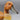 Vintage Hand-Carved Duck Decoy