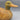 Hand-Carved Unpainted Duck Decoy
