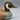 Hand-Carved Duck Decoy