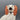 Vintage NP Wales Pottery Staffordshire Style King Charles Spaniel Mantle Dog Figurines