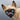 Large Vintage Italian Pottery Siamese Cat Figurine