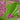 Vintage Lilly Pulitzer Women's Rosa Verde Floral Pants