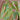 Vintage Lilly Pulitzer Tropical Floral Pants