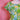 Vintage Lilly Pulitzer Green Patchwork Dress