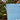 Blue Oval Scalloped Metal Bucket "Home Sweet Home"