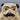 Antique Ceramic Bulldog Piggy Bank
