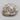 Polished Ammonite Fossil