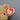 Large Ty Beanie Baby  "Curly" She's a Grand Old Flag