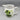 Vintage Kaj Franck for Arabia Pottery Pitcher with Acid Green Cat