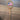 Vintage Wilson John Newcomb Tennis Racket with Cloth American Flag